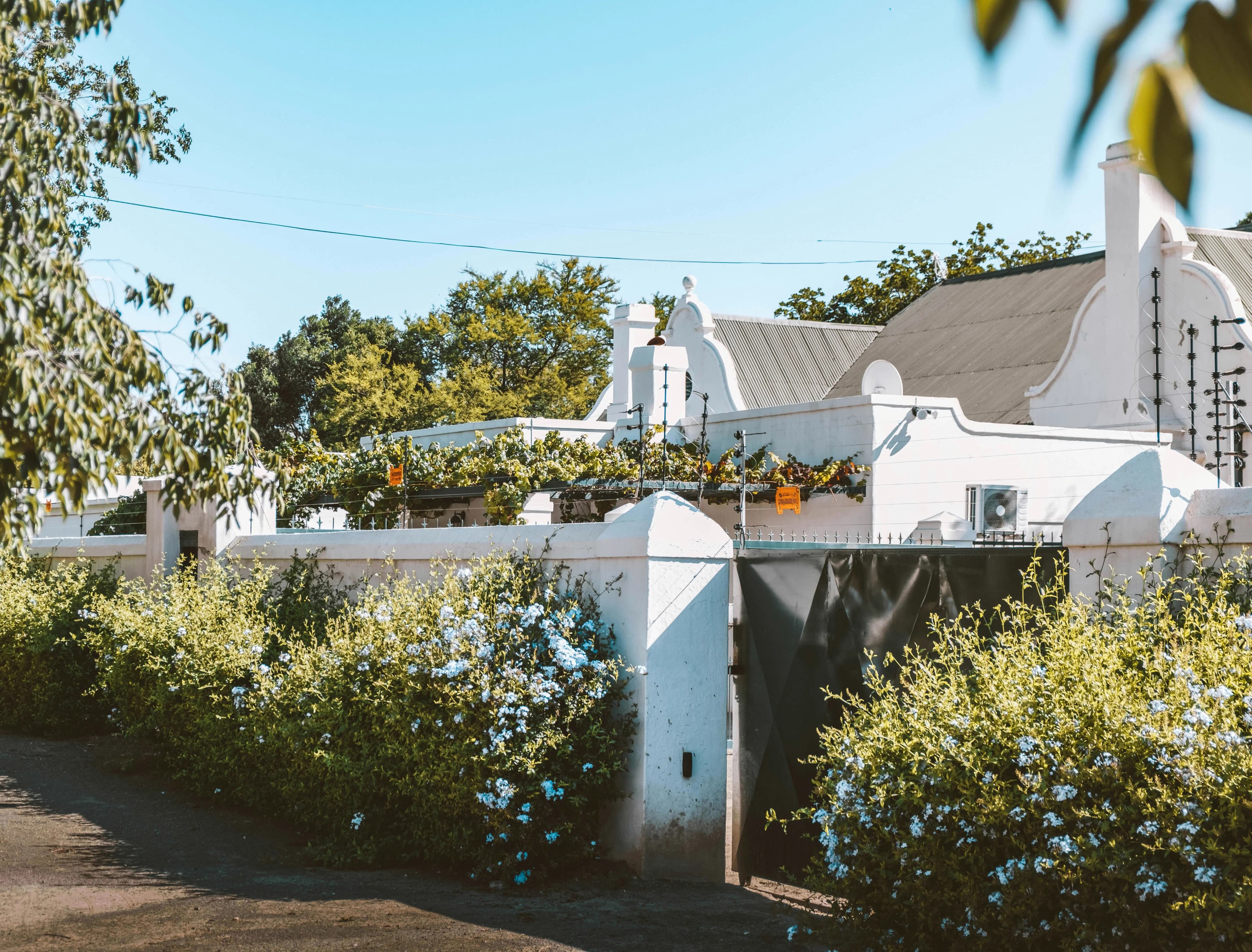 Contemporary Home Build